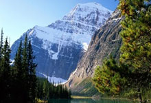 包含风云突变夏洛特黄蜂冲刺阶段强势反弹，荷甲版图或变，话题不断，团队化学反应显著的词条-乐鱼平台